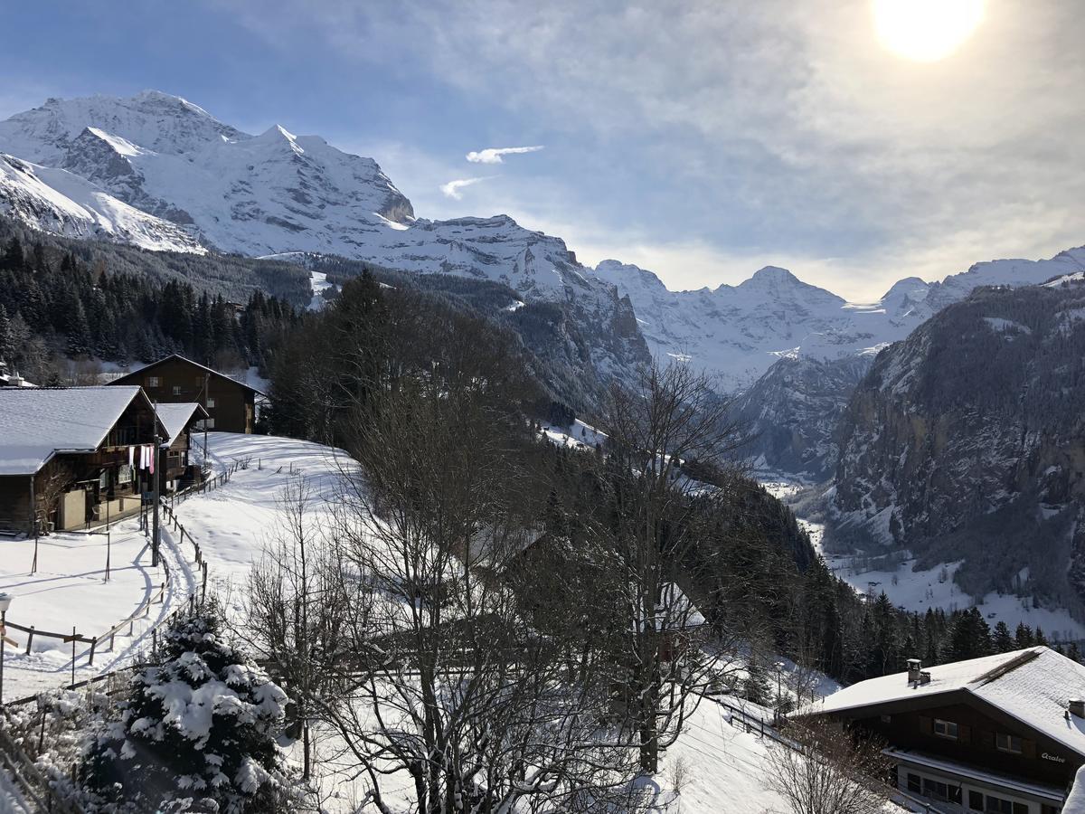 Chalet Bergkristall Wengen Exterior photo
